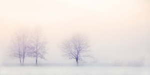 winter-landscape-2571788_640